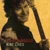 Steve Winwood - Nine Lives.jpg