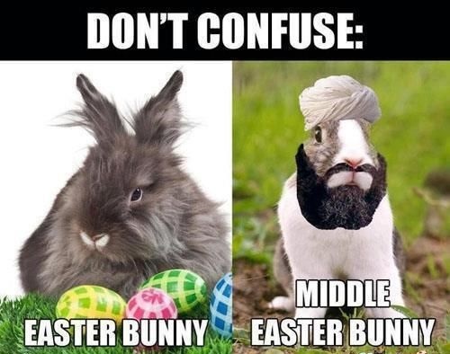 Easter-Sunday-funny-bunny-images-.jpg