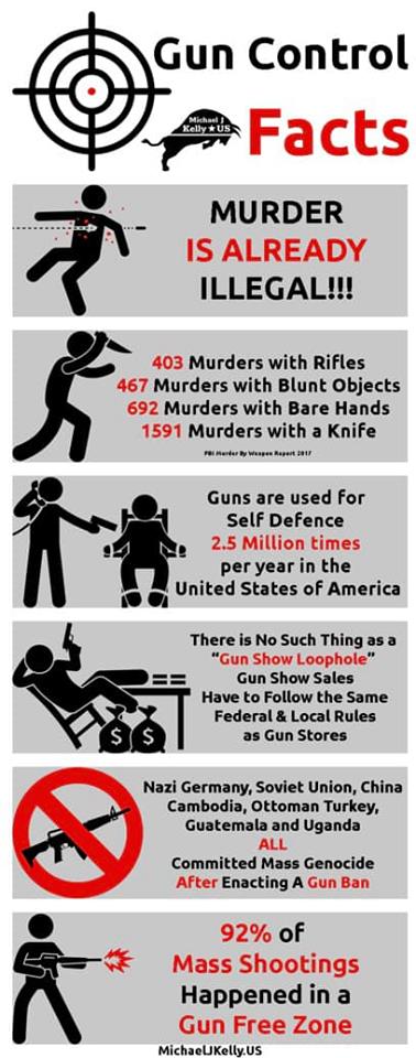 gun control facts.jpg