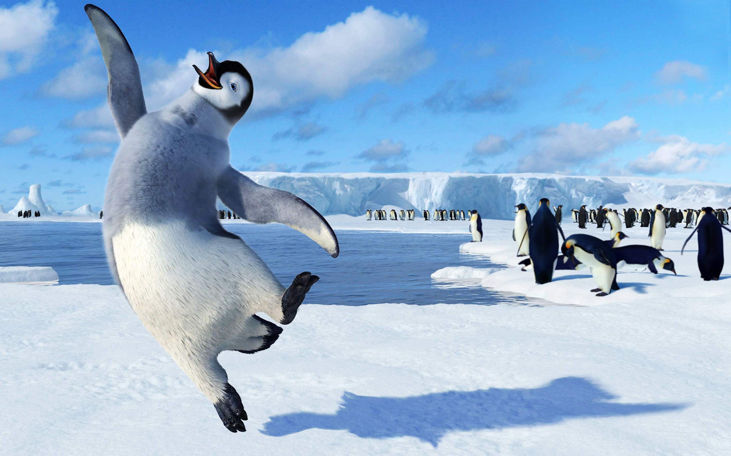 happy penguin.jpg