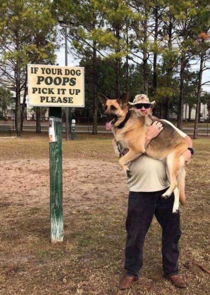 if your dog poops pick it up.jpg