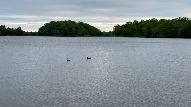 IMG_5320.jpg