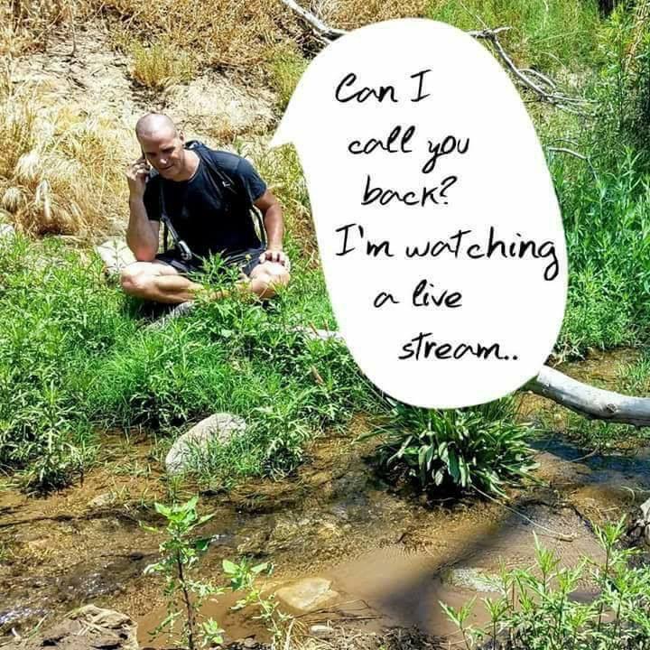 Live Stream.jpeg