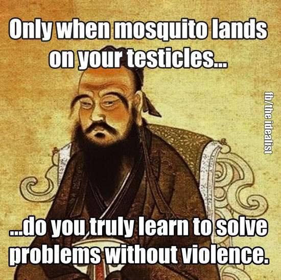 mosquito violence joke.jpg