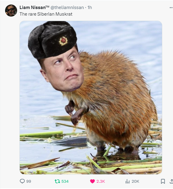 Muskrat.png