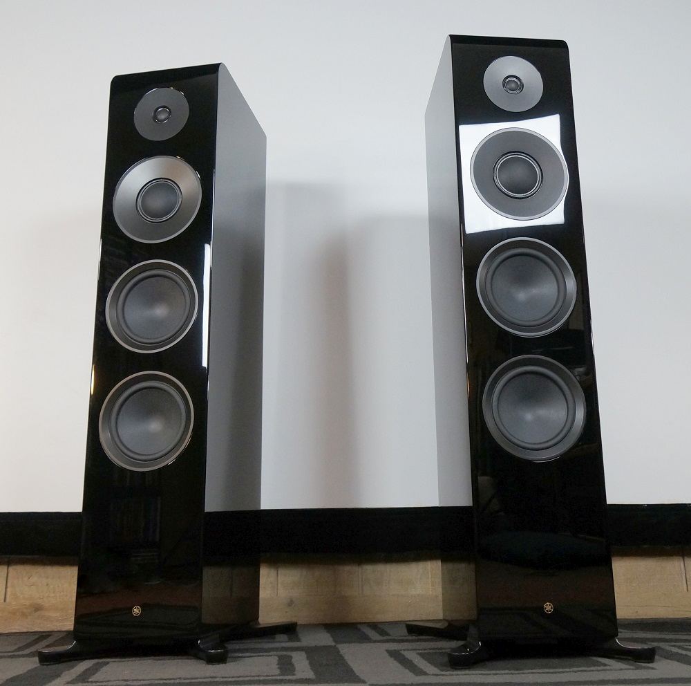 NS2000 pair9.jpg