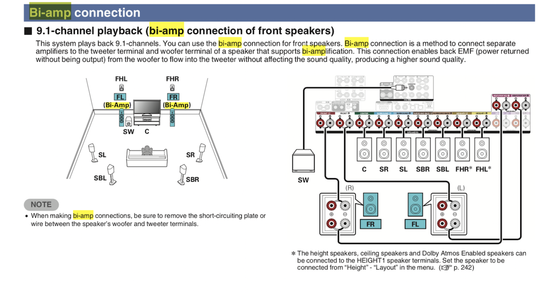 p73-biamp.png