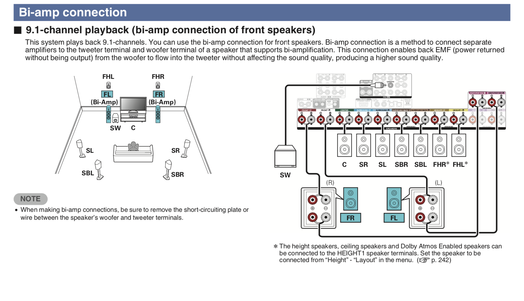 p73-biamp.png