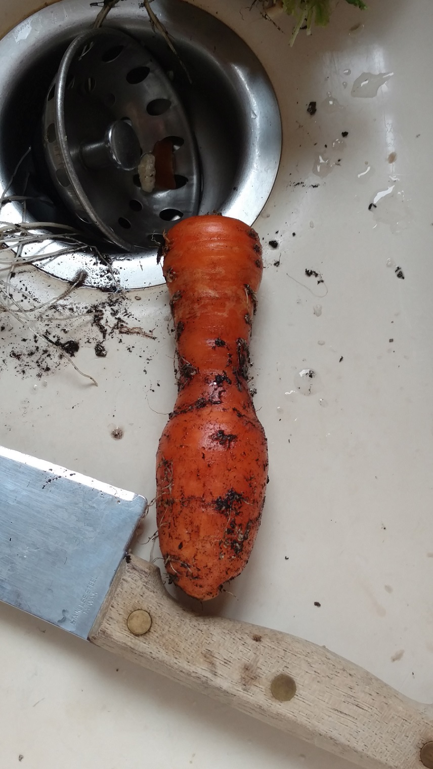 Porno Carrot.jpg