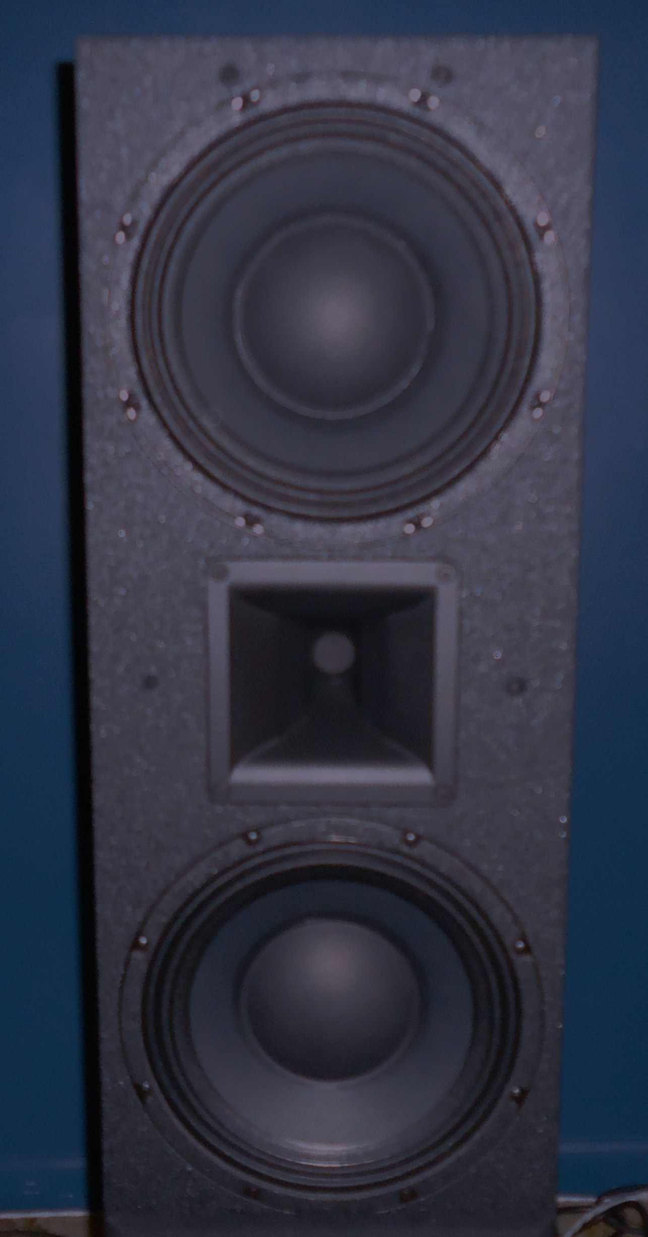psa speakers 002.JPG