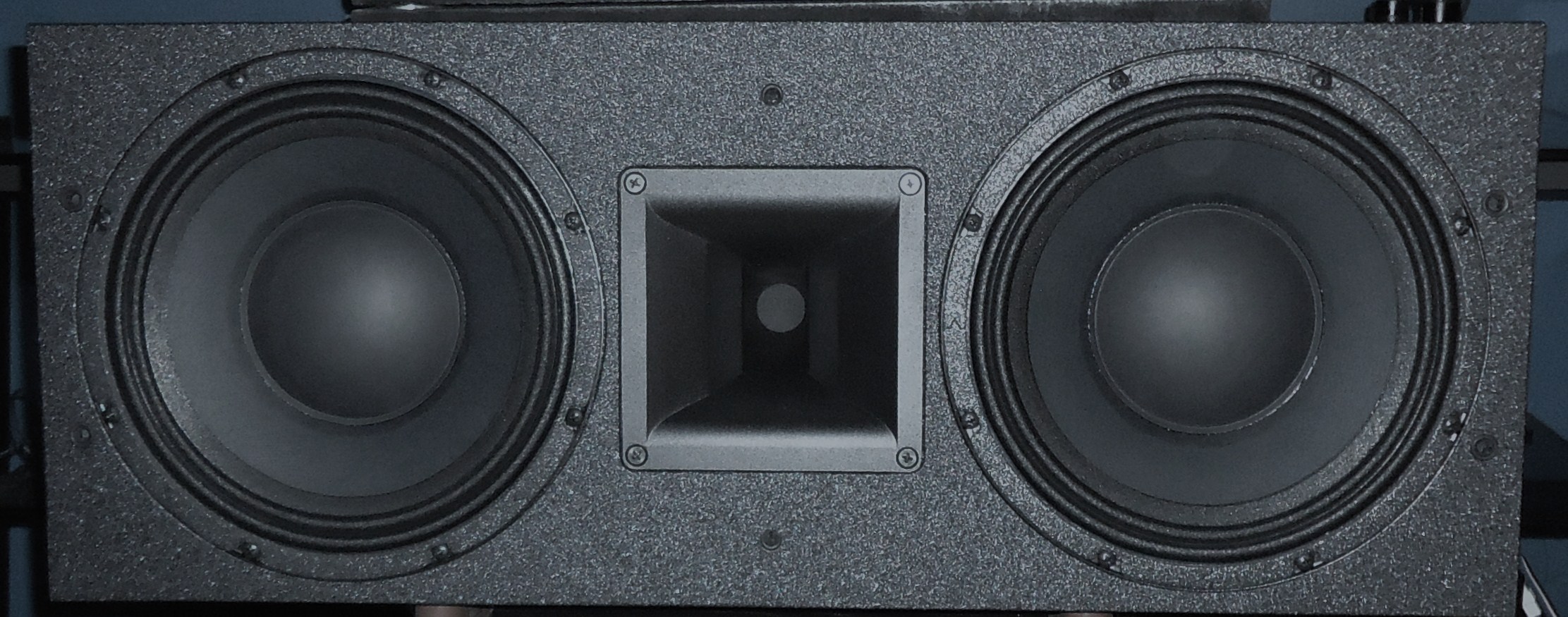 psa speakers 004.JPG