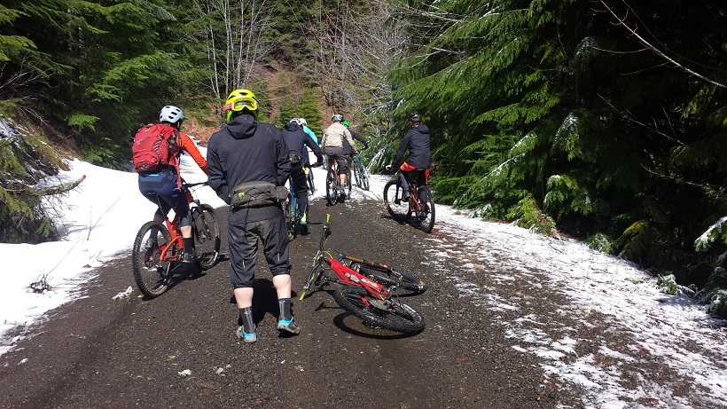 snow line Alpine run.jpg