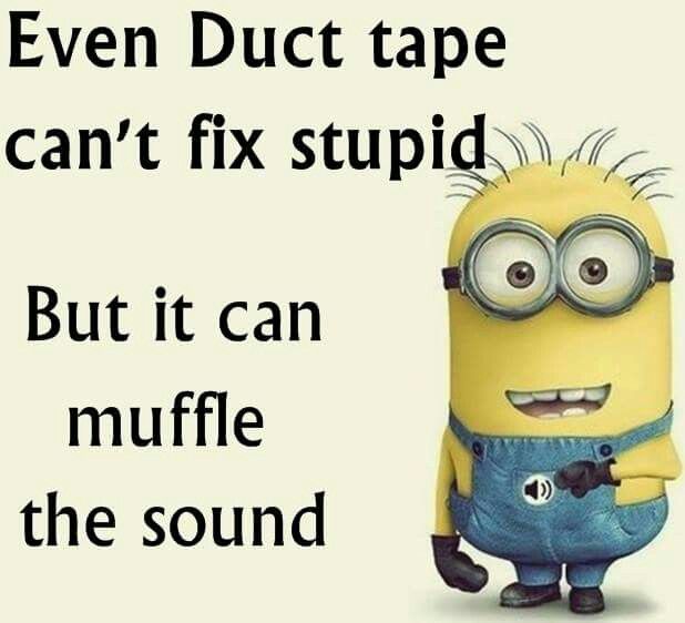 stupid minion.jpg