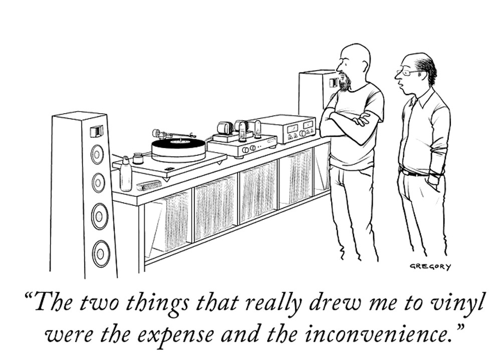 vinyl expense inconvenience.jpg