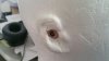 20151211_141556_resized.jpg