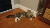 20180830_070036.jpg