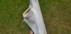 20190728_163722.jpg