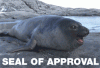 safe_image.gif