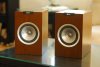 R100_pair_grilles-off.JPG