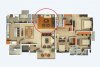 Layout.jpg