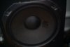 Speaker 1 cone damage.jpg