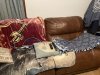 IMG_6496.jpeg