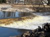 Kletsch Park Fish.jpg