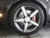 Stock rotor.jpg