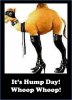hump day.jpg