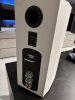 IMG_3318-compressed.jpeg