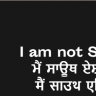 I Am Not South Asian