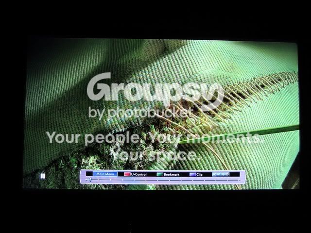 HT017.jpg