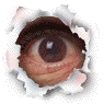 eyeflash44.gif