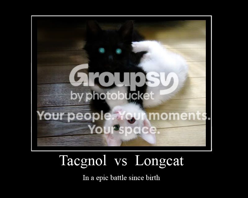 longcat_tacgnol.jpg