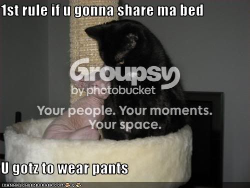 funny-pictures-cat-is-in-bed-withou.jpg