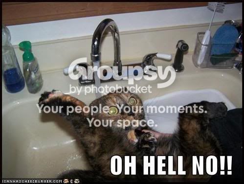 funny-pictures-cat-scared-sink-wate.jpg