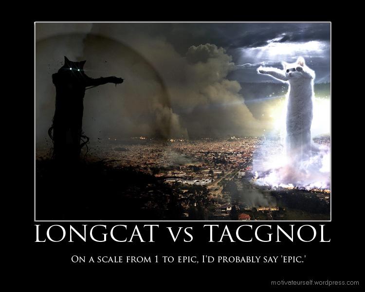 090321-longcat-vs-tacgnol.jpg