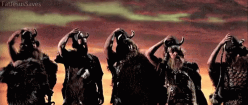 vikings.gif