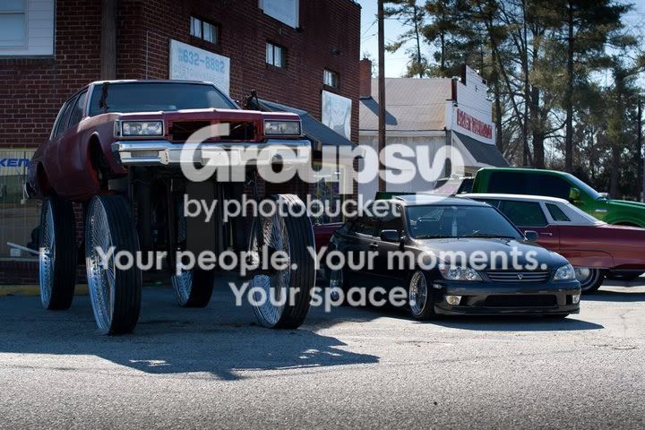 donk.jpg