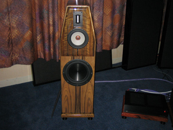 Salk%20Sound%20-%20HT-3%20speaker.jpg