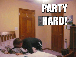 dlH7W.gif