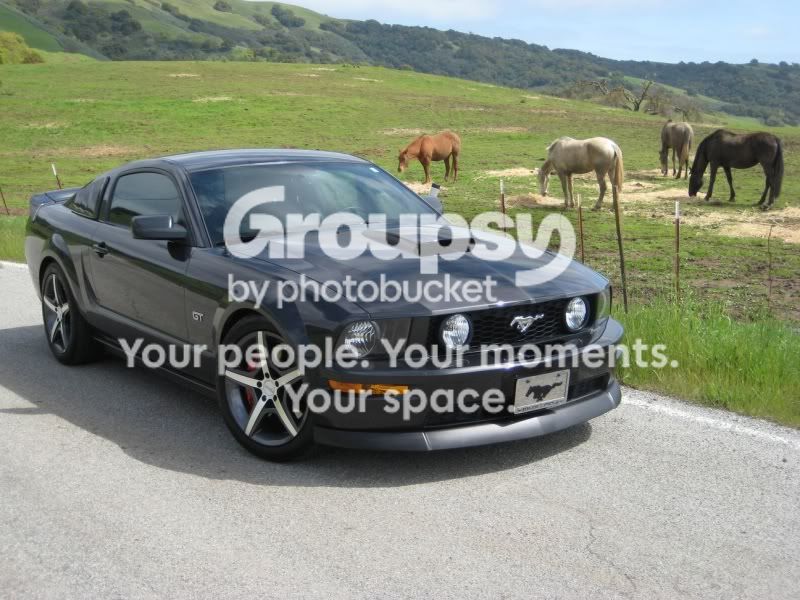 Poniesfront5.jpg