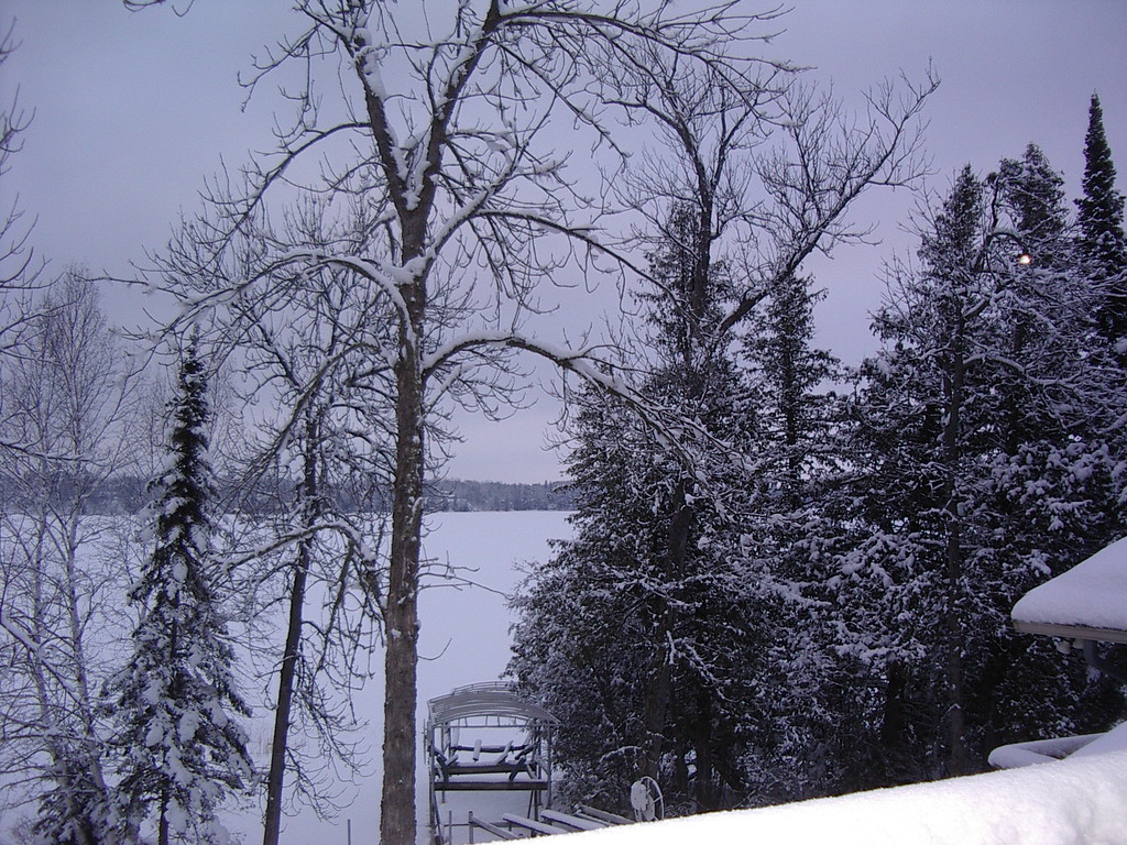 IMGP5289-XL.jpg