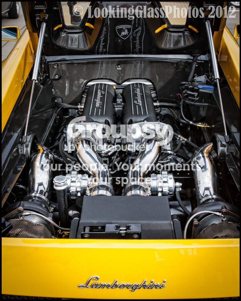 Lambo-.jpg