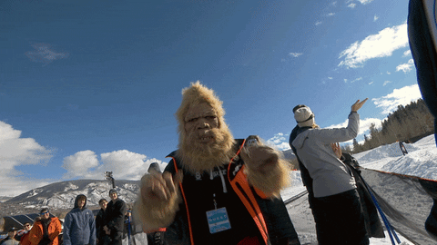 giphy.gif