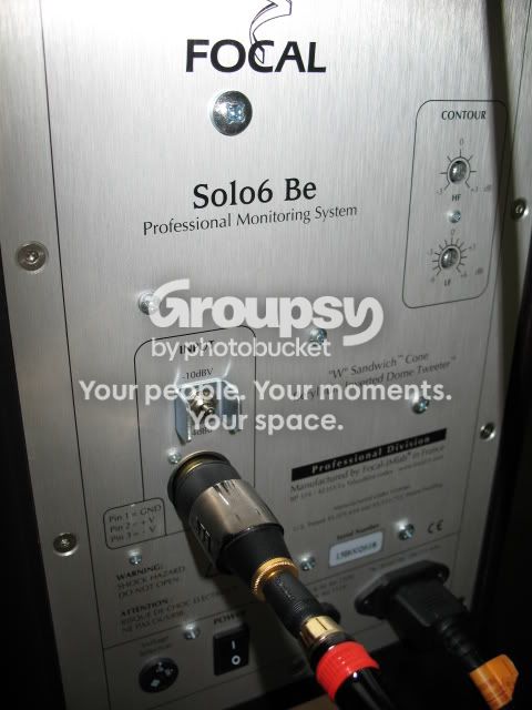 SoloBack.jpg