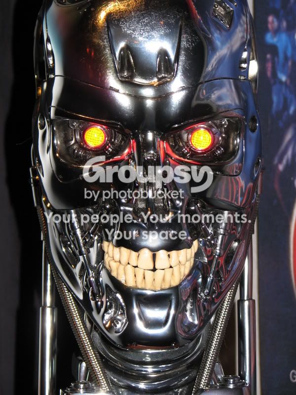 T2Skull009.jpg