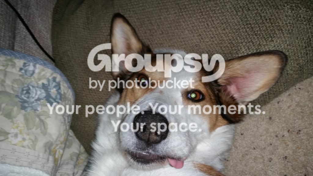 20140901_092547_zps12xrbkgj.jpg