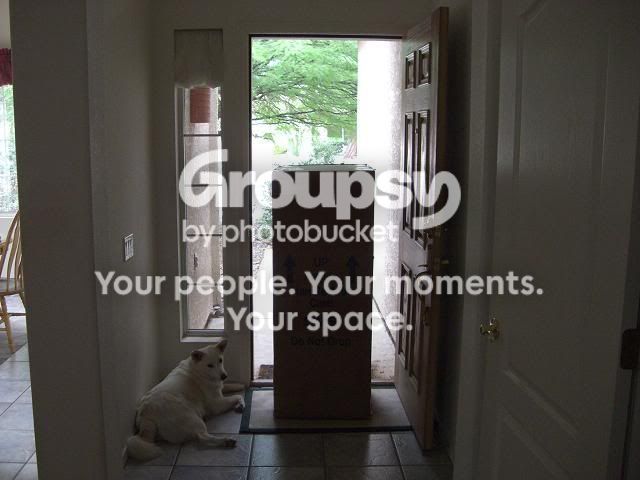 CIMG0238_25percent.jpg