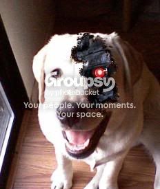iAmTerminated.jpg